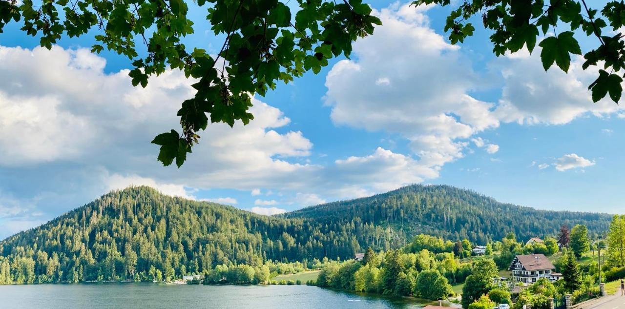 Le Chalet Au Bord Du Lac Gérardmer Екстериор снимка