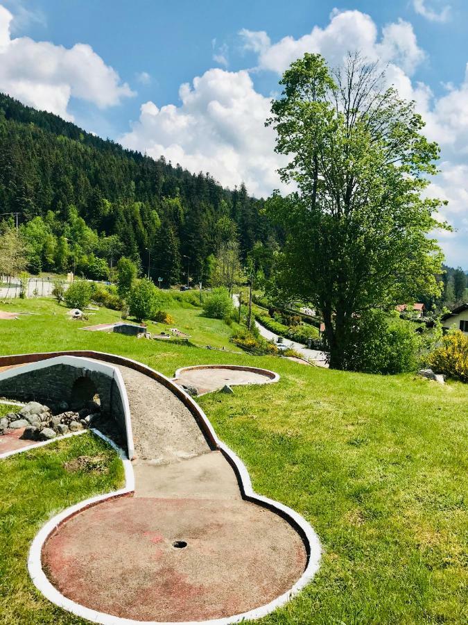Le Chalet Au Bord Du Lac Gérardmer Екстериор снимка